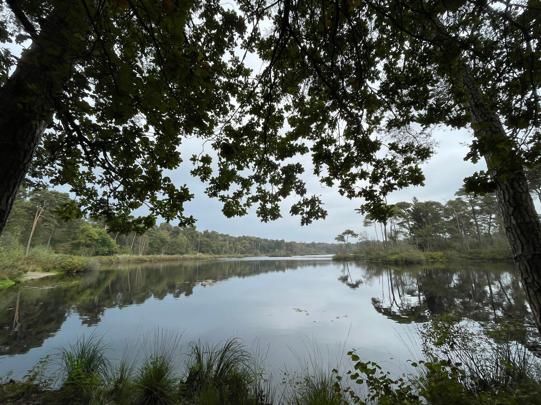 Oisterwijkse Bossen en Vennen-Oisterwijk必去景点
