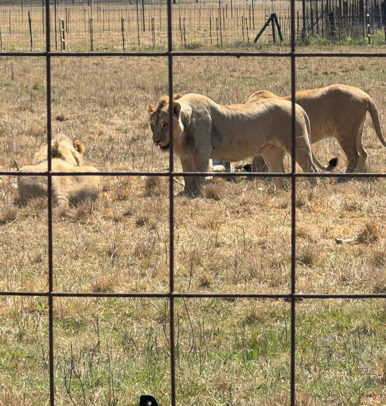 Siesta Guesthouse & Wedding Venue主图