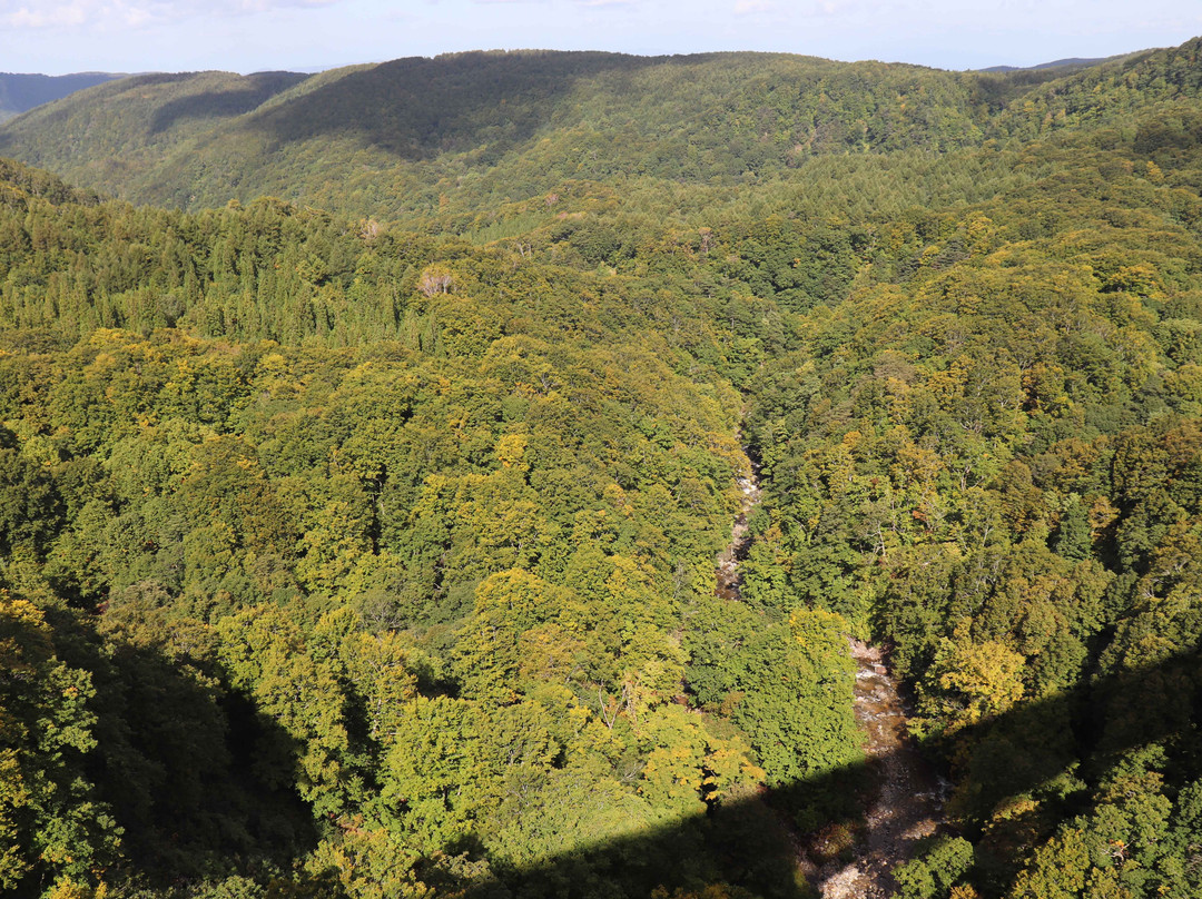 Jogakura Stream-青森市必去景点