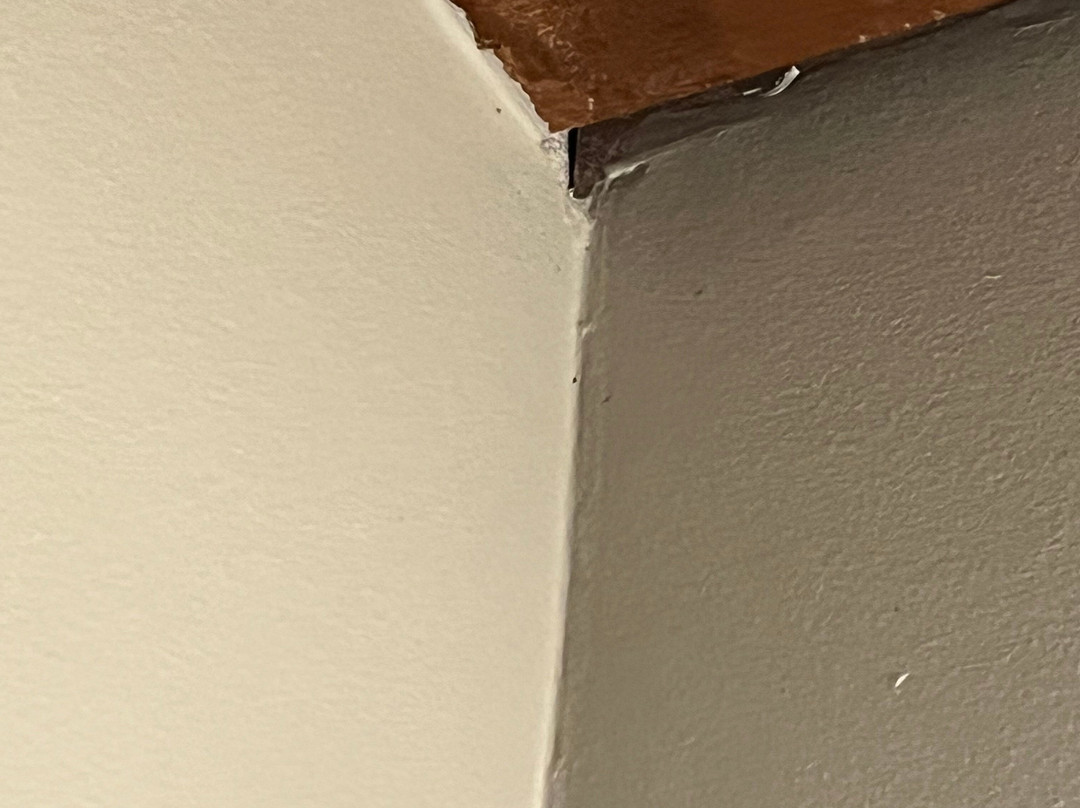 Taos Motor Lodge主图