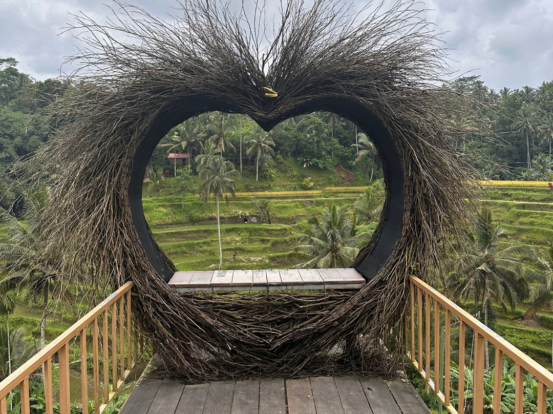 Bds Tour Travel Services-登巴萨必去景点