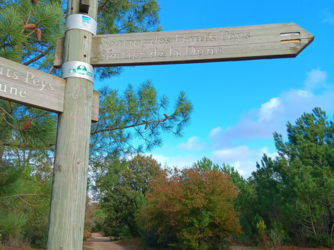 Forêt domaniale des Pays-de-Monts-Saint-Hilaire-de-Riez必去景点