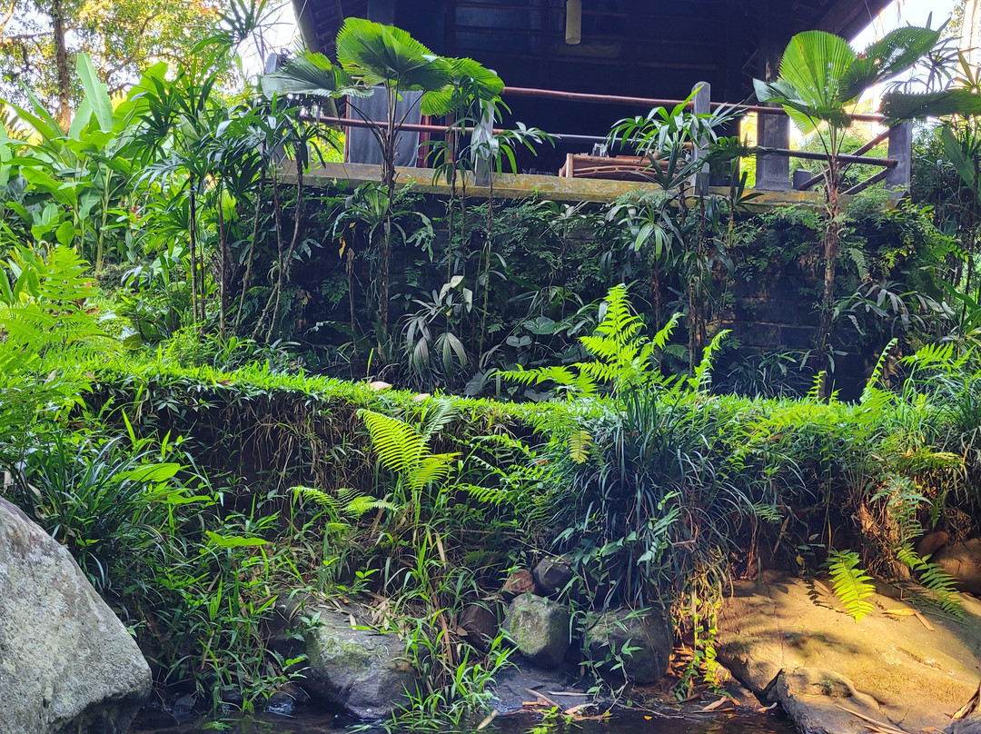 巴厘岛生态度假村主图