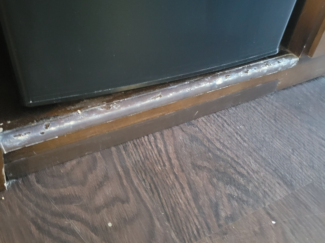 Baymont by Wyndham Minot主图