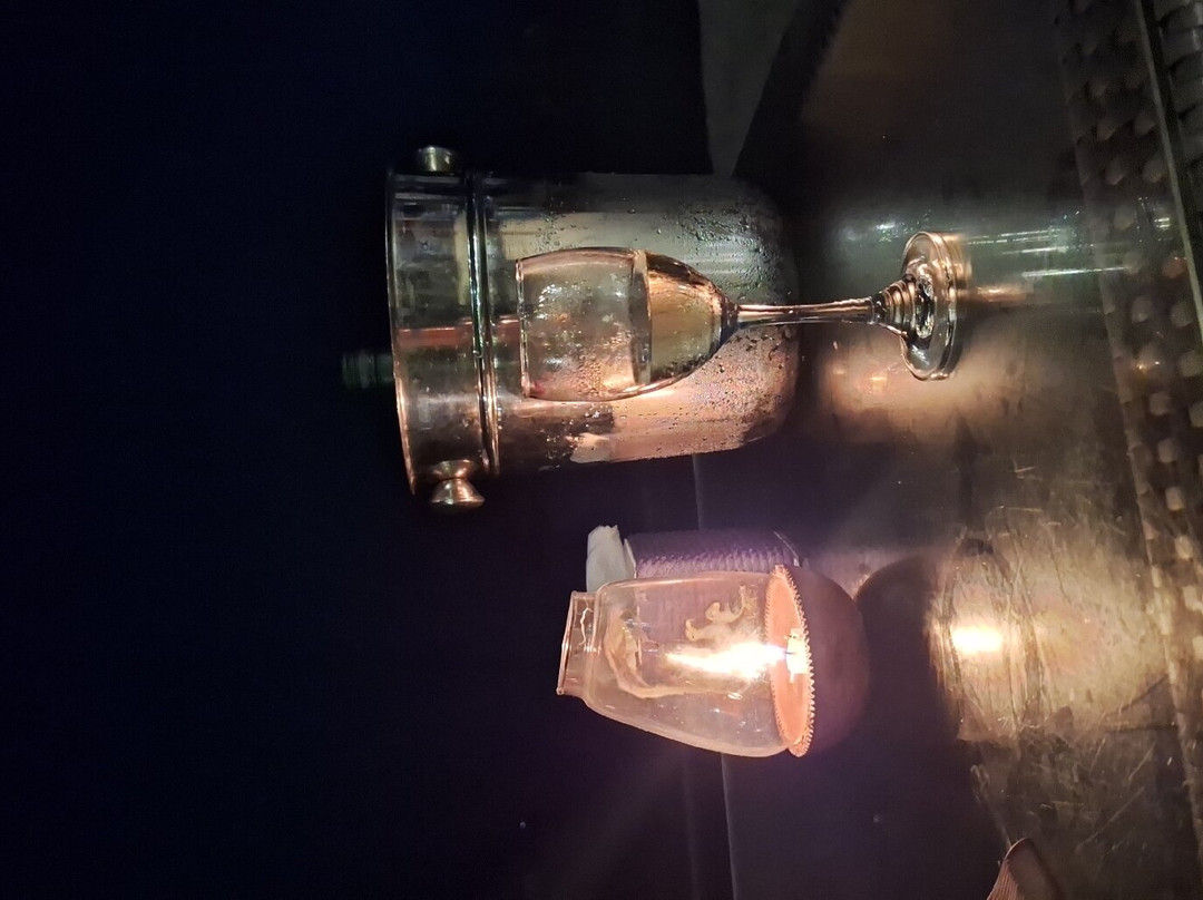 The Ark Comforts主图