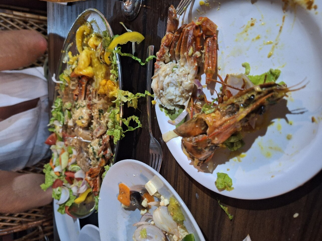 The Ark Comforts主图