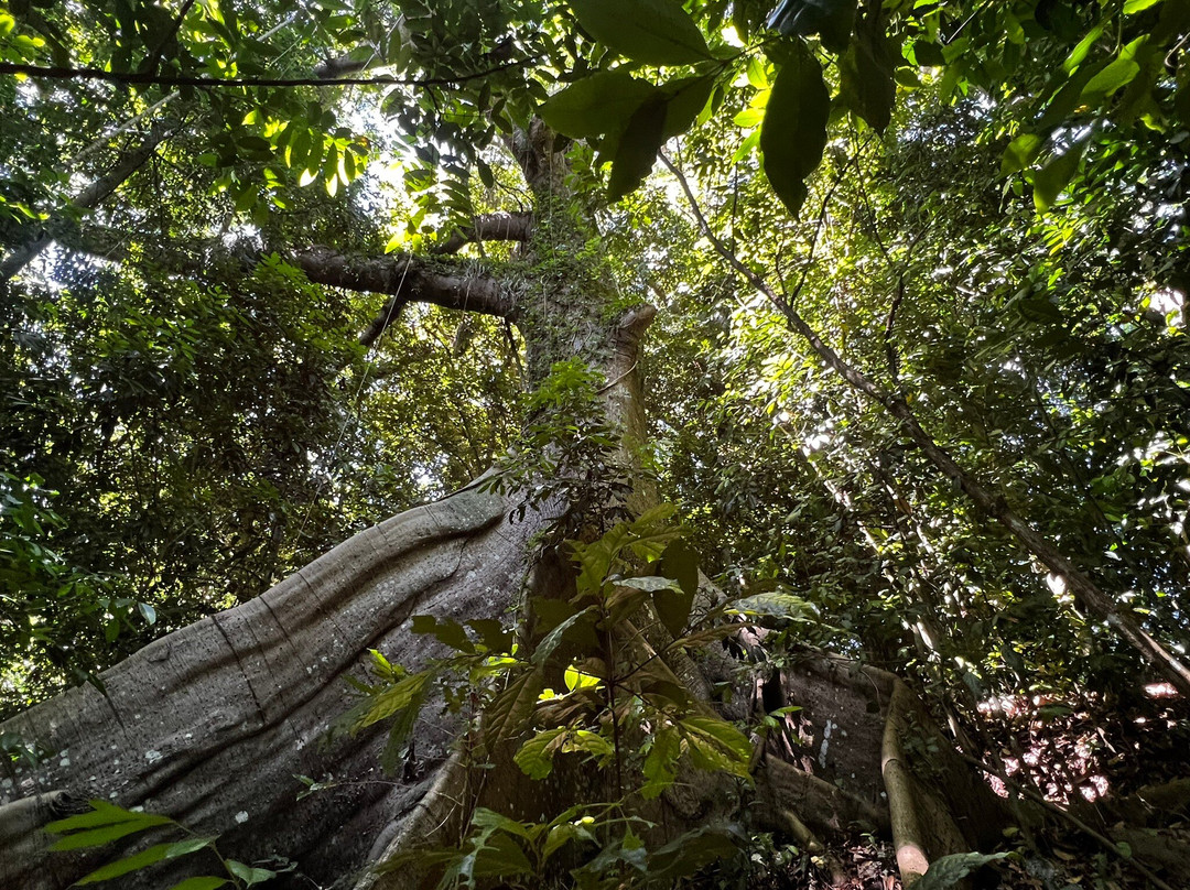 Altura-圣胡安必去景点