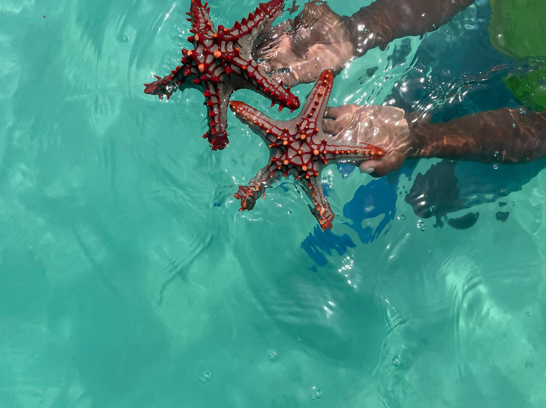 Antique Tours and Safaris-孥归必去景点