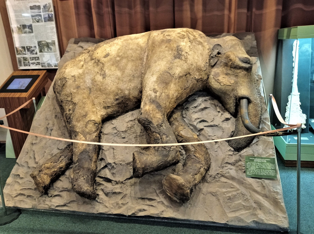 Taimyr Local Lore Museum景点图片