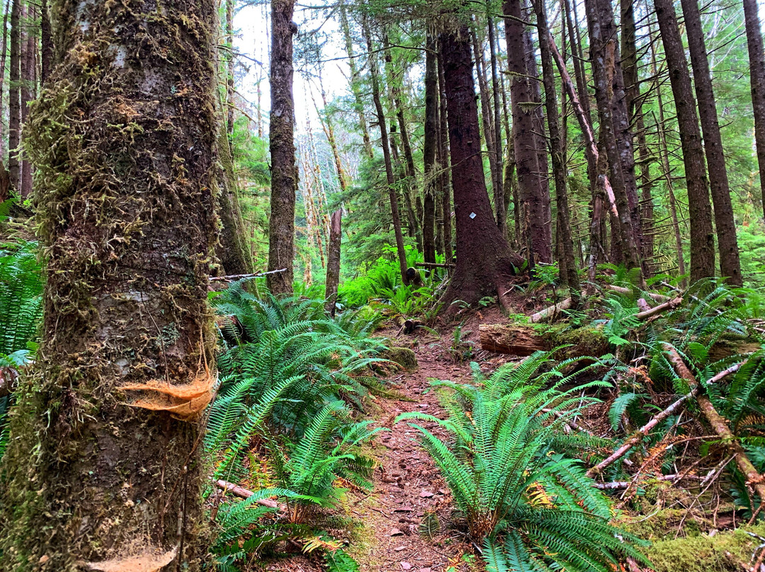Dempsey Collinson Memorial Trail-Daajing Giids必去景点