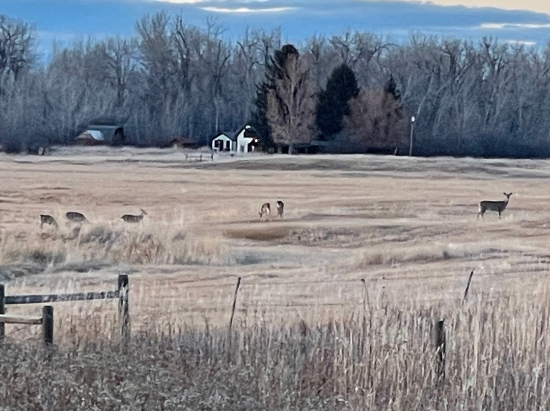 加勒廷河旅馆主图