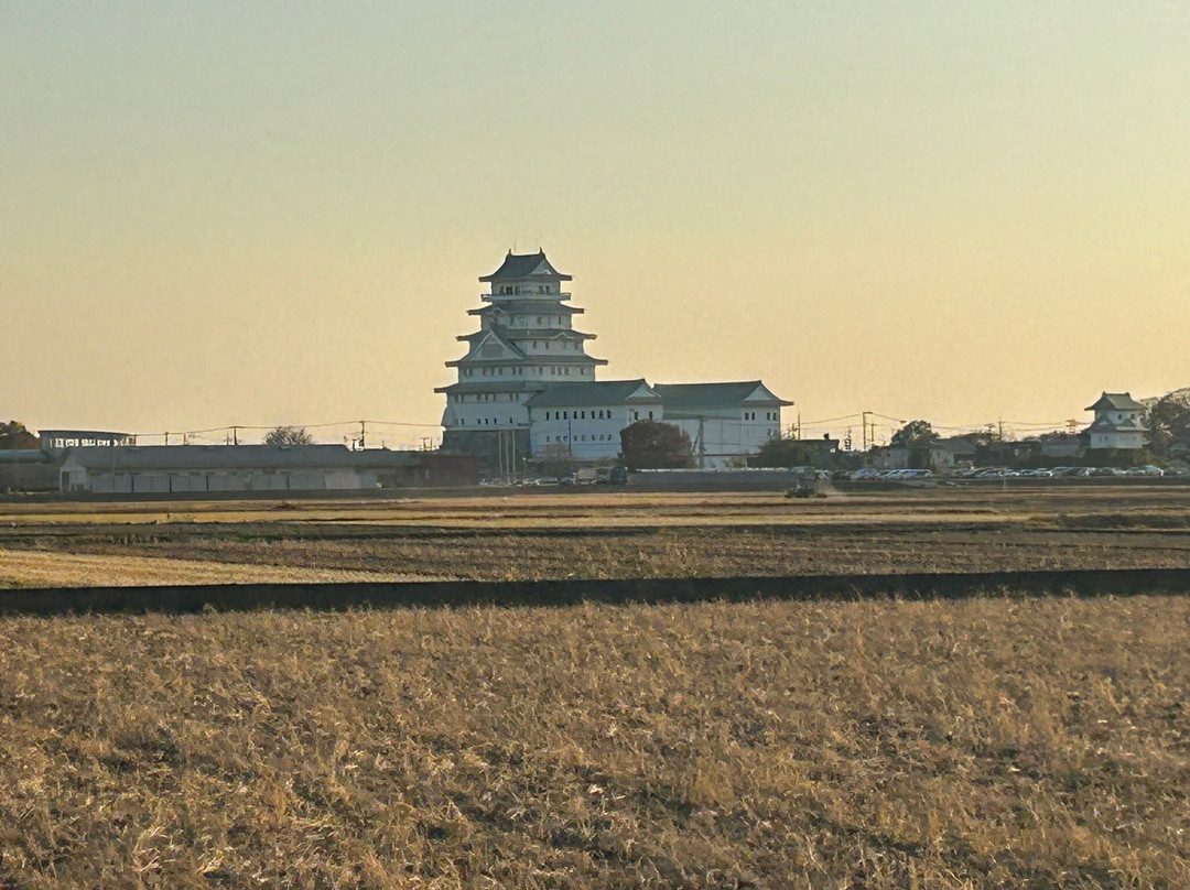 Regional Exchange Center (Toyoda Castle)-常总市必去景点