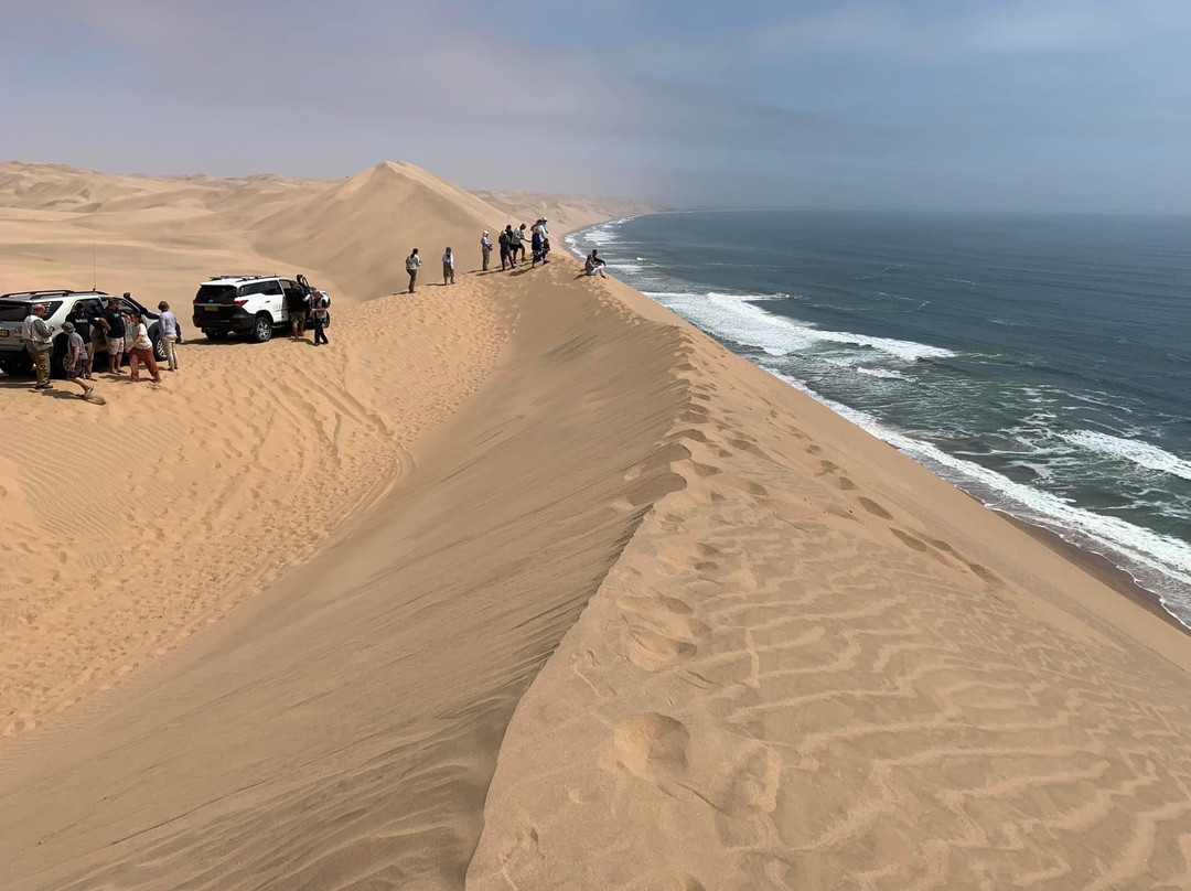 MC Tours-华维斯湾必去景点