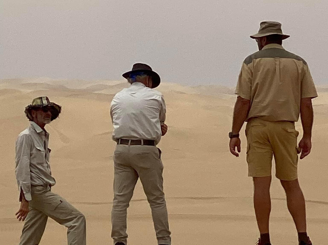 MC Tours-华维斯湾必去景点