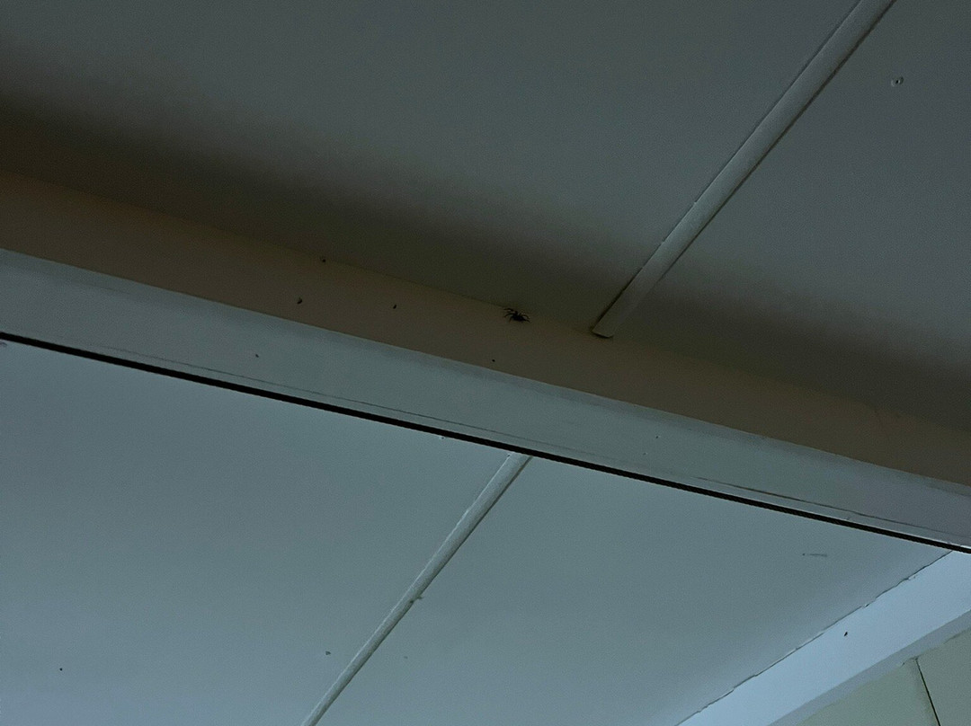 Ballarat Budget Motel at Woodmans Hill主图