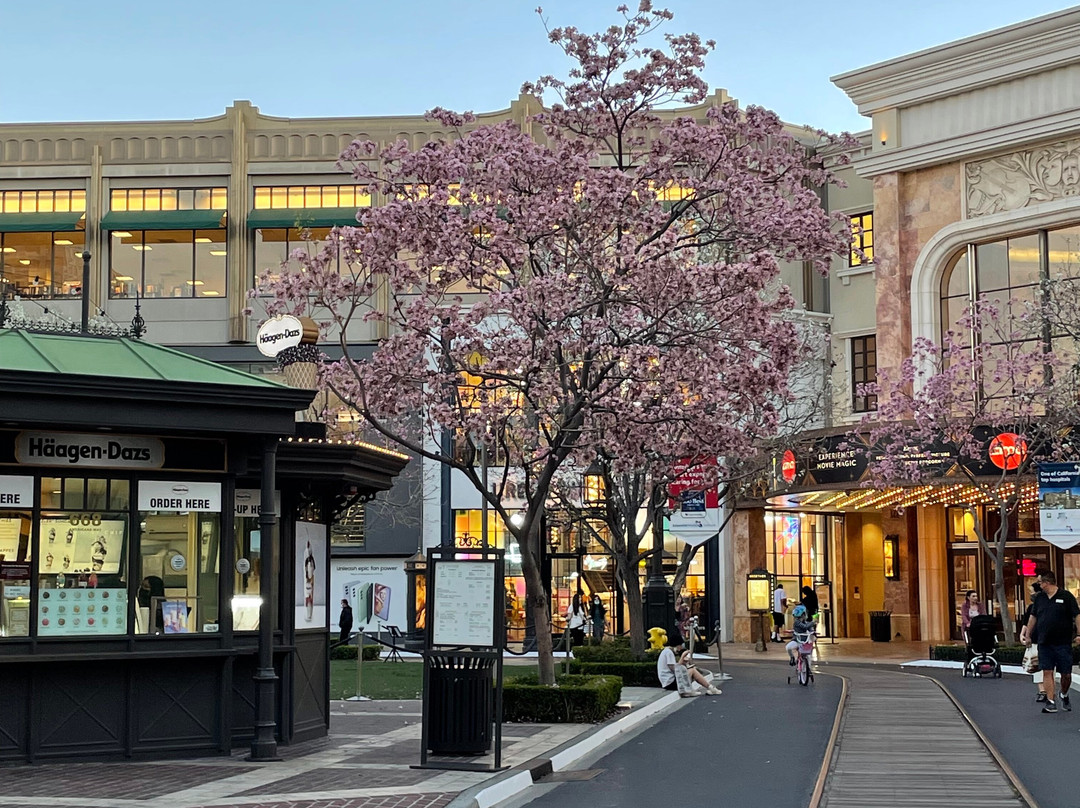 LAXcar-洛杉矶必去景点