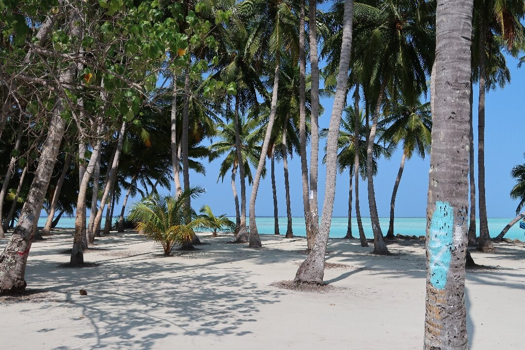 Riveli Retreat主图