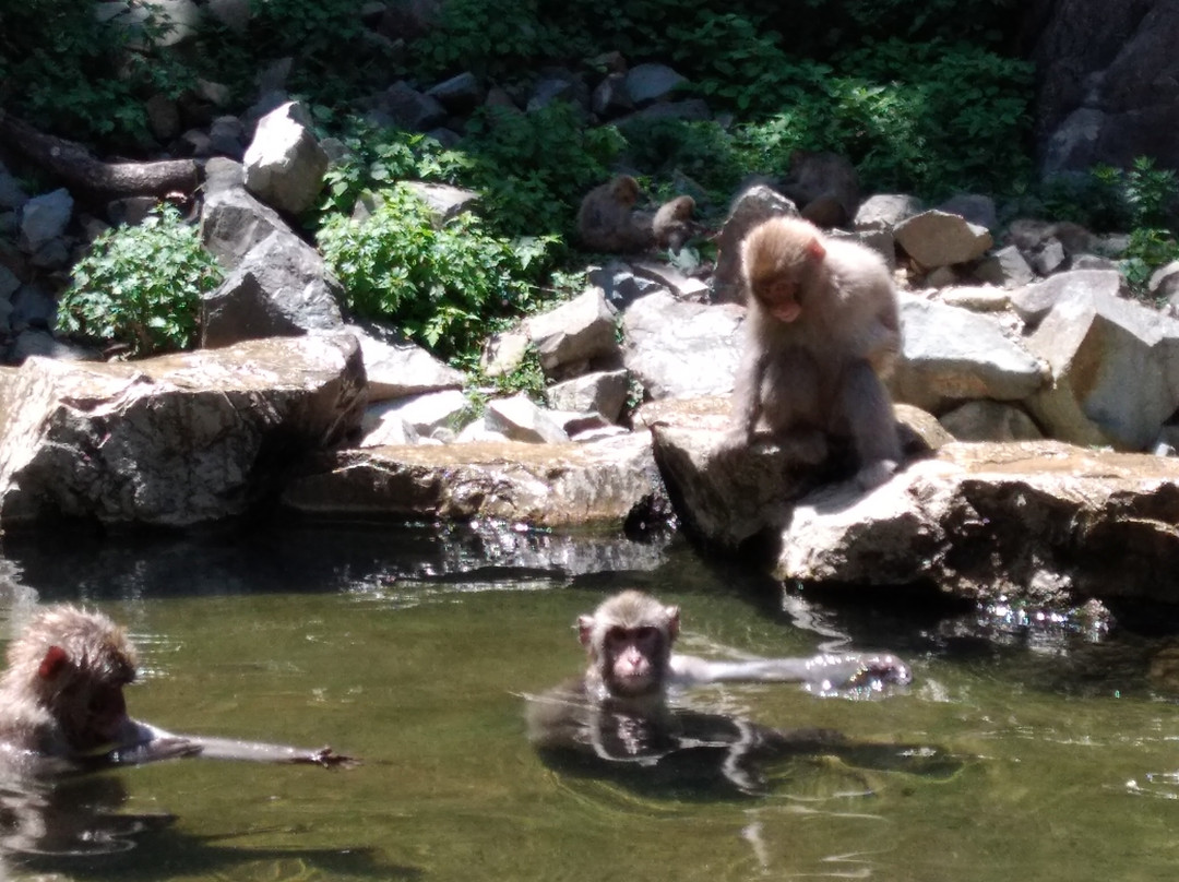 maaru-小布施町必去景点