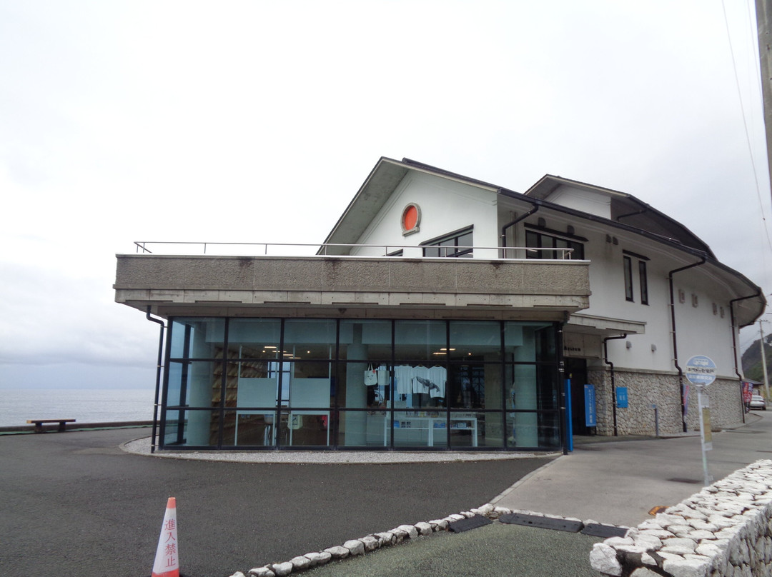 Whale Museum-室户市必去景点