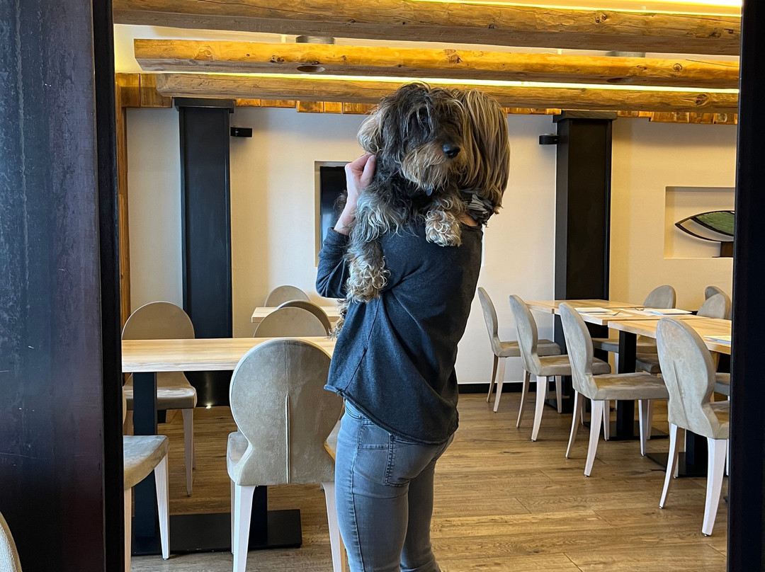 Chalet Hotel Du Fornet主图