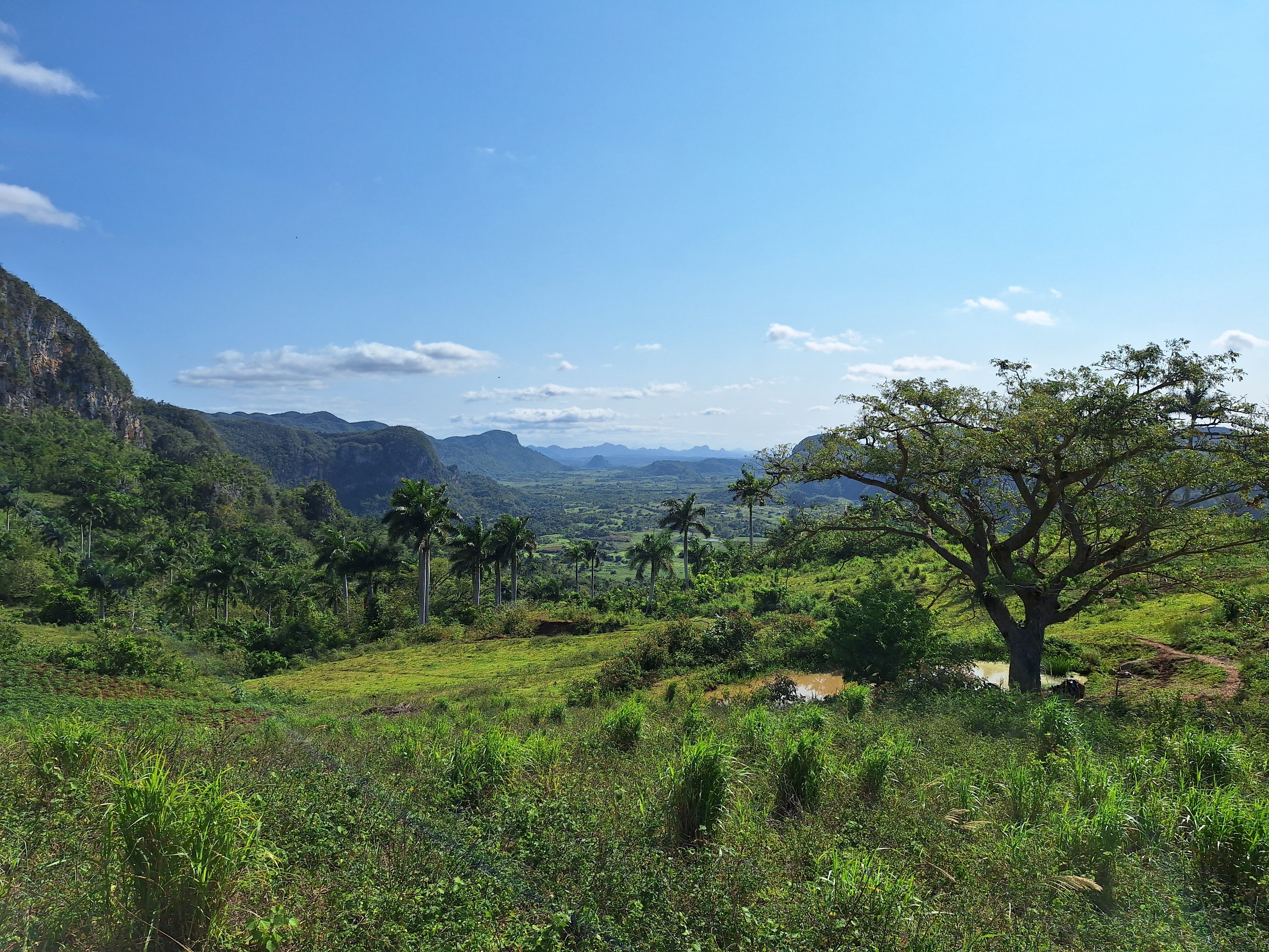 Finca Media Luna-官方