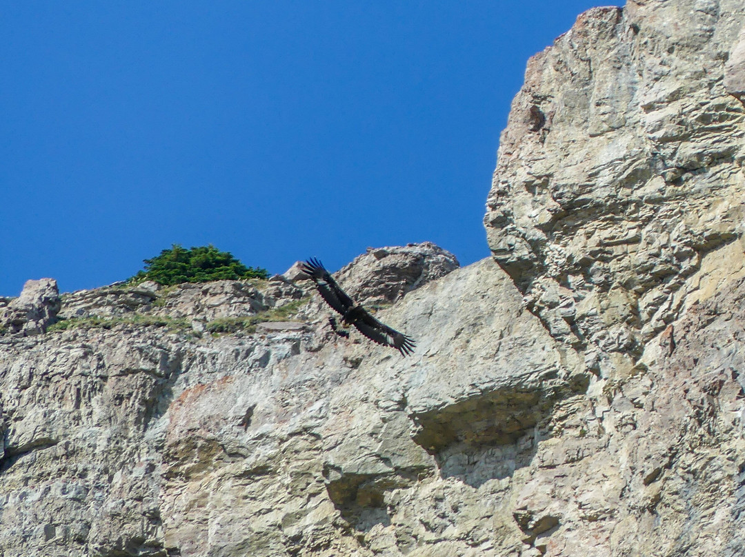 Dropstone Outfitting-Choteau必去景点