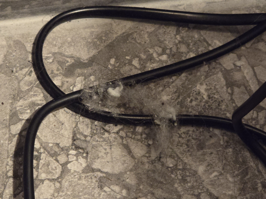 Cook's Club Corfu Adults Only主图