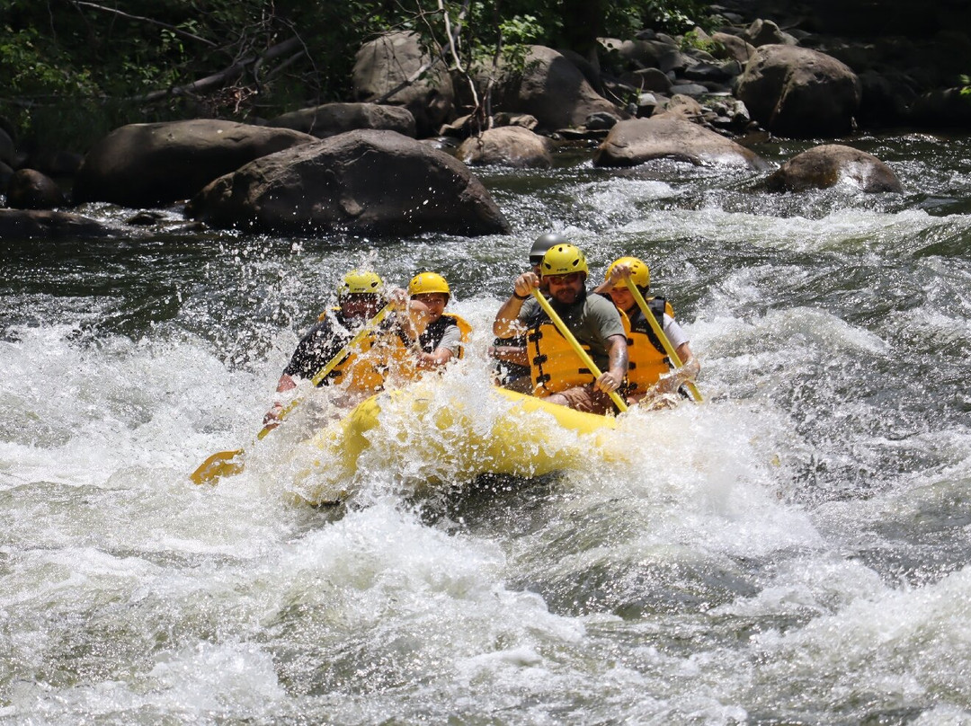 Rafting in the Smokies景点图片