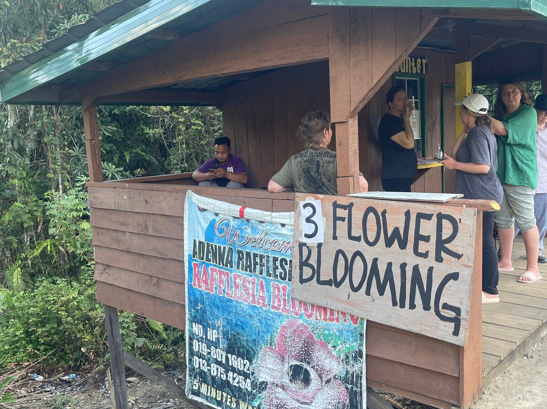 Adenna Rafflesia Garden-Poring必去景点