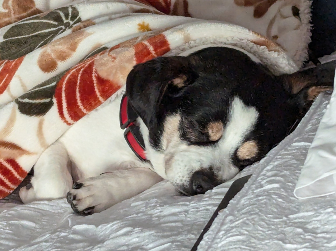 Hampton Inn & Suites Cincinnati Liberty Township主图