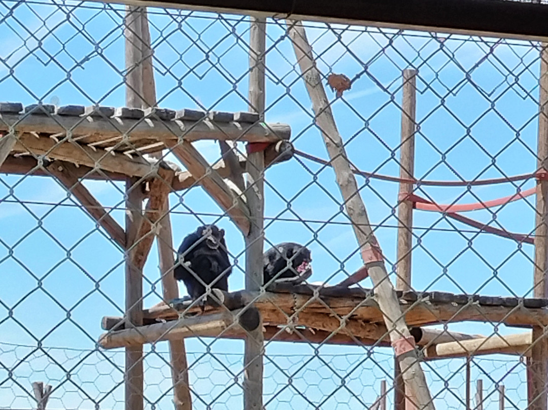 Centro De Rescate Y Recuperación De Primates Rainfer景点图片