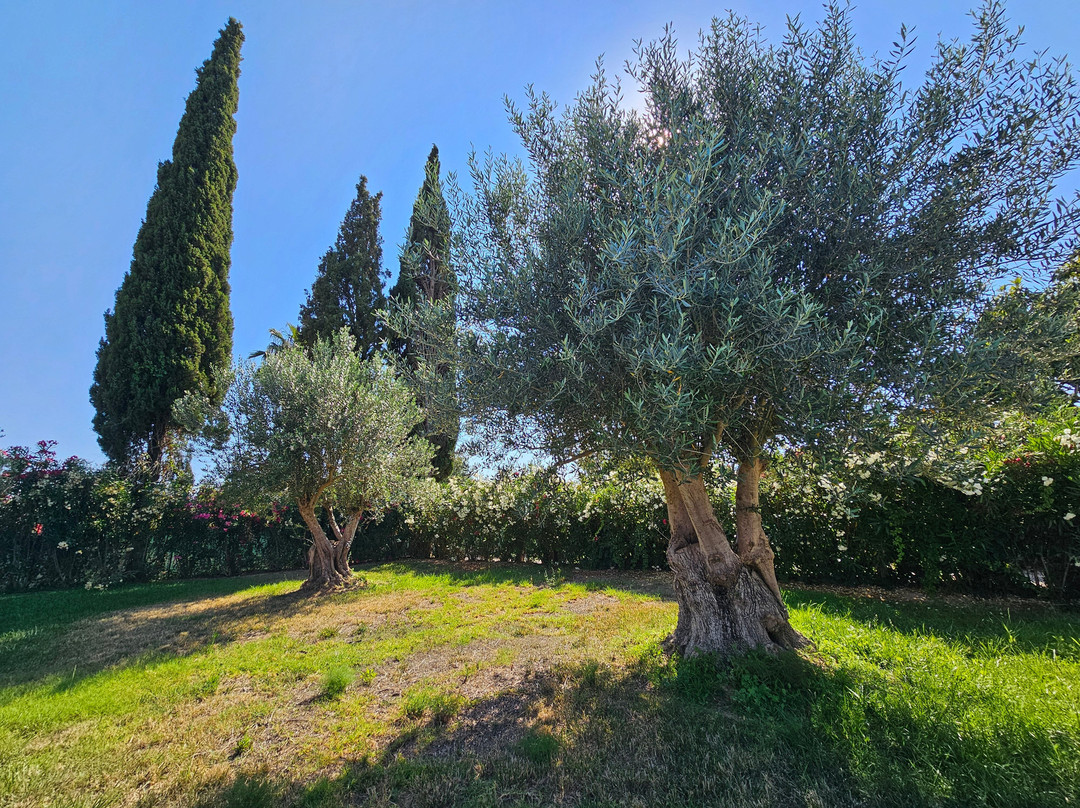 Cypress Garden Villas主图