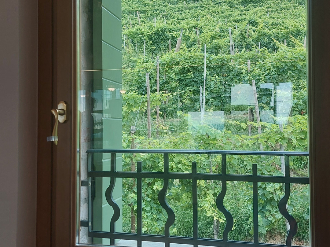 Azienda Agricola Rebuli Angelo & Figli-Valdobbiadene必去景点