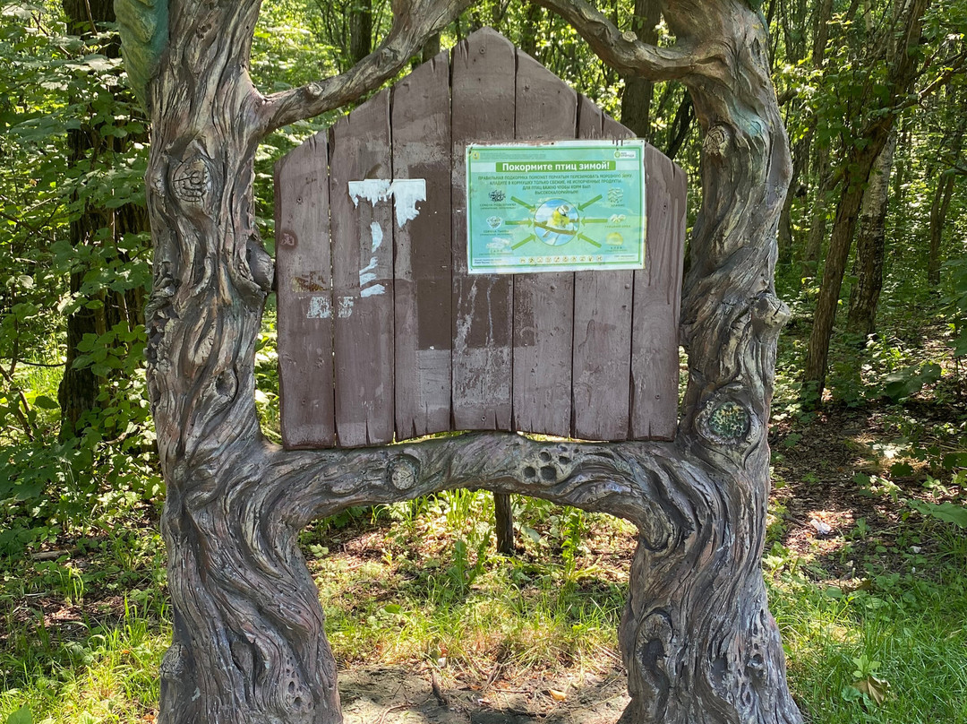 Troparevsky Forest Park景点图片
