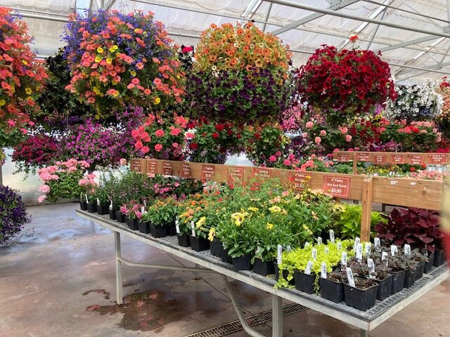 Bauman's Farm and Garden-Gervais必去景点