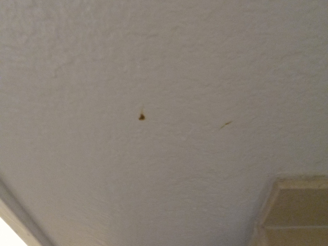 Super 8 by Wyndham Ridgecrest主图