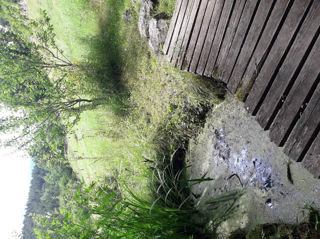 Centre écologique Terre Vivante景点图片