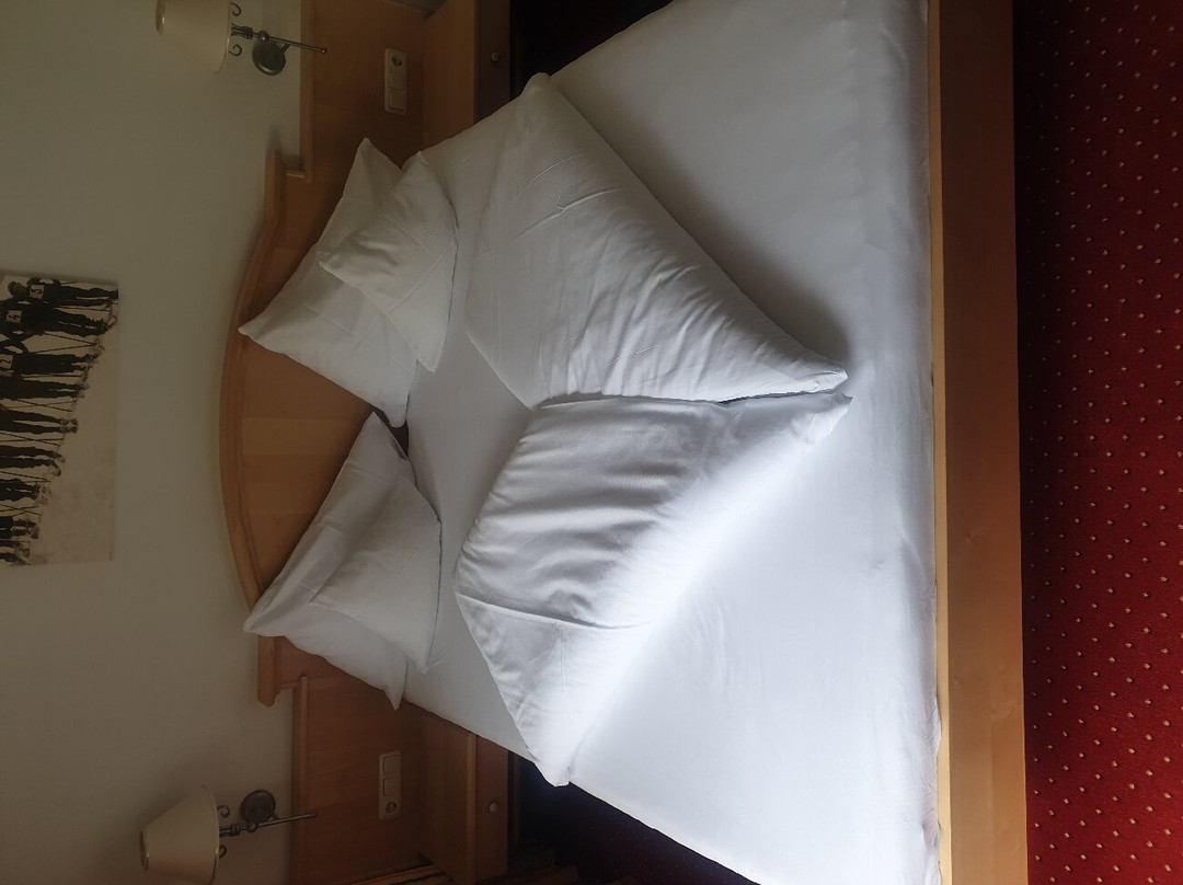 Silbertal Hotel主图