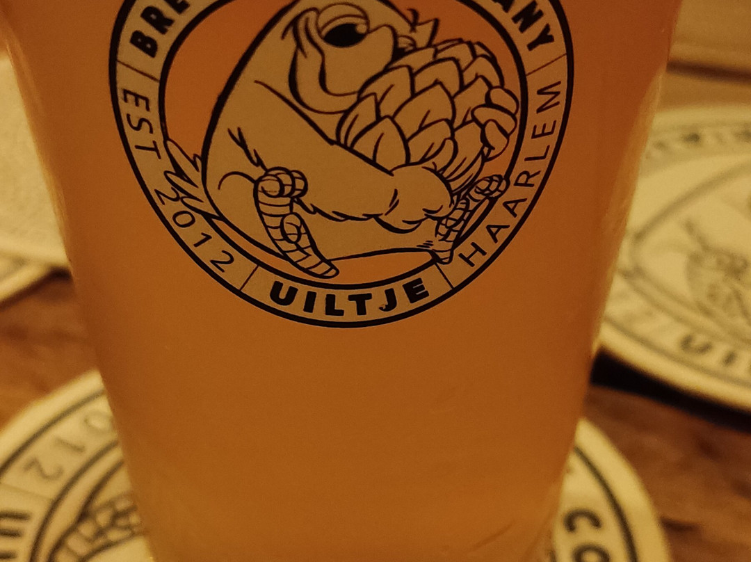 Uiltje Bar-哈勒姆必去景点