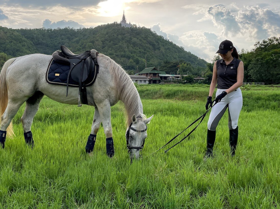 Pong Horse Park-Baan Pong必去景点