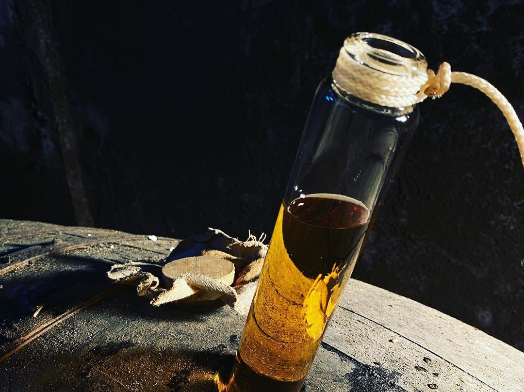 Cognac Pierre De Segonzac景点图片