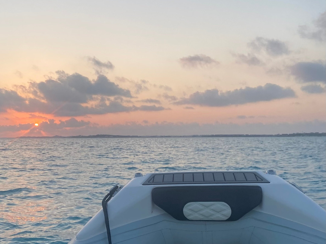 Pink Dolphin Boat Rentals-格雷斯湾必去景点