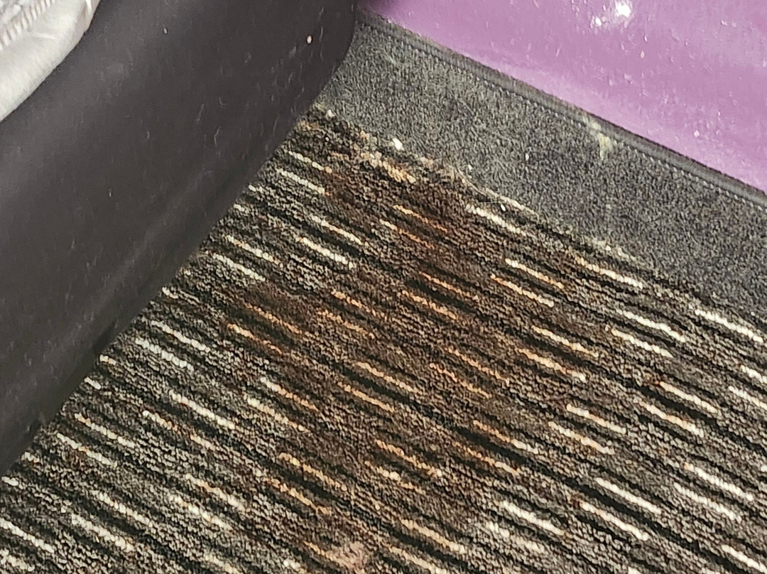 La Quinta Inn & Suites by Wyndham Warwick Providence Airport主图