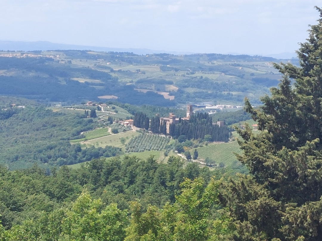 Poggio Al Sole