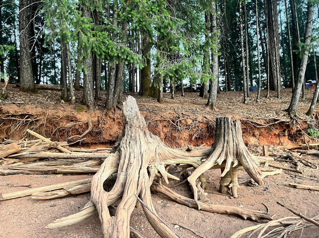 Rollins Lake-Colfax必去景点