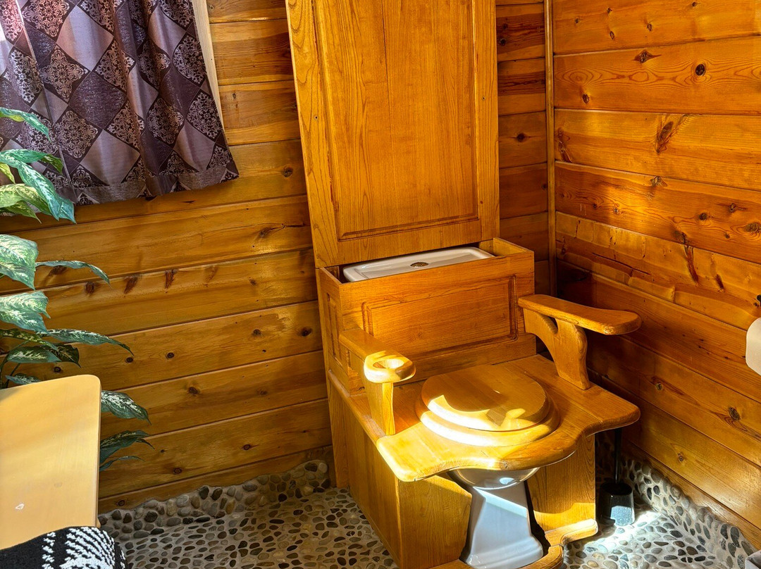 Shady Lady Bed and Breakfast主图