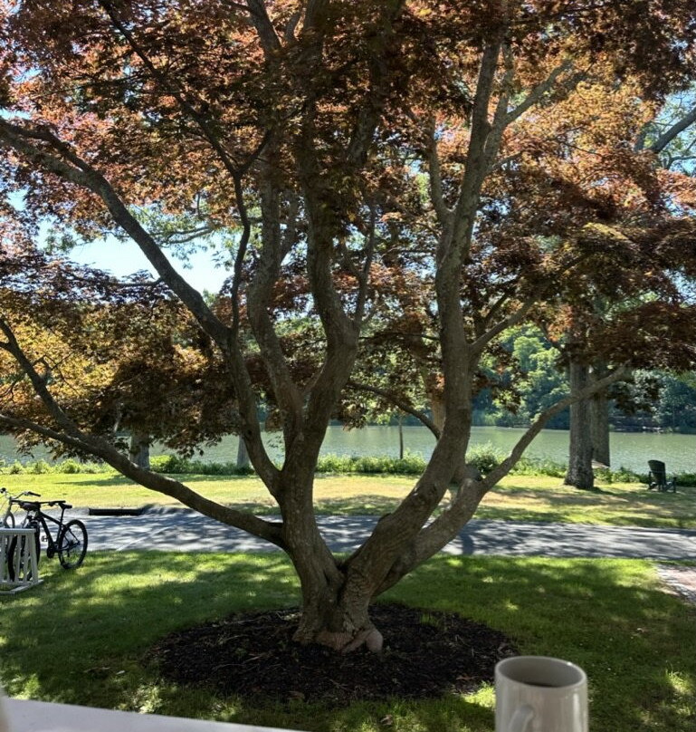 House on Chase Creek主图