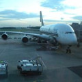 colinm250