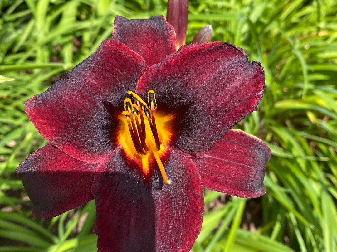 Irving Arboretum-Bouctouche必去景点