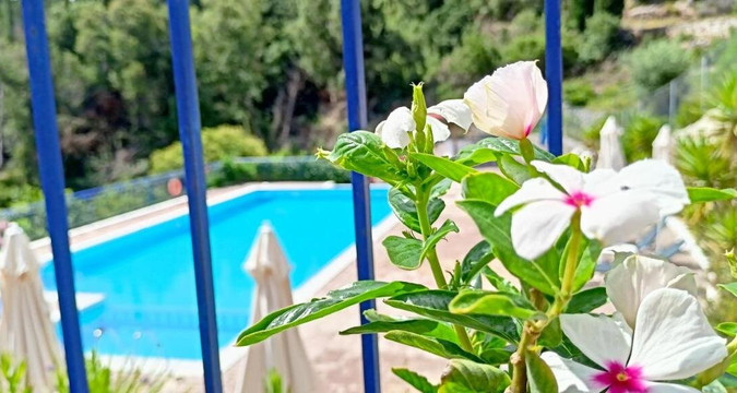 Kaminakia Apartments主图